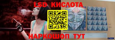 крисы Кинель