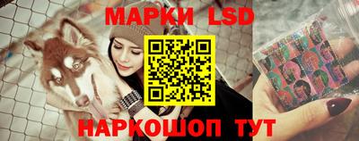 крисы Кинель