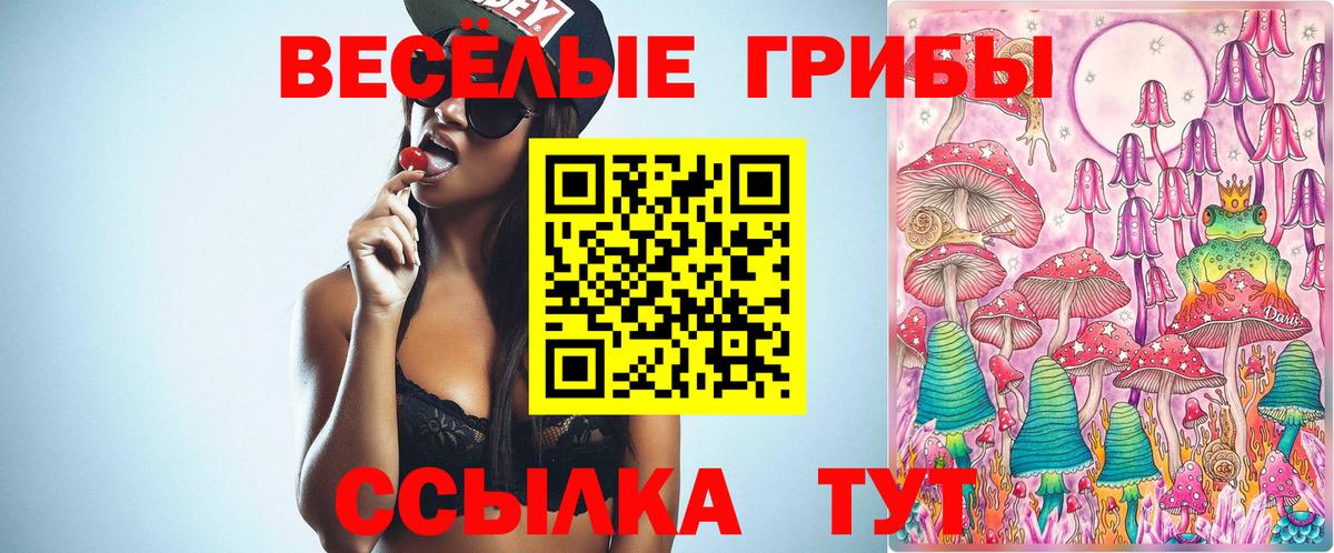 Галлюциногенные грибы ЛСД  Галлюциногенные грибы GOLDEN TEACHER  Коряжма  Вход с VPN 