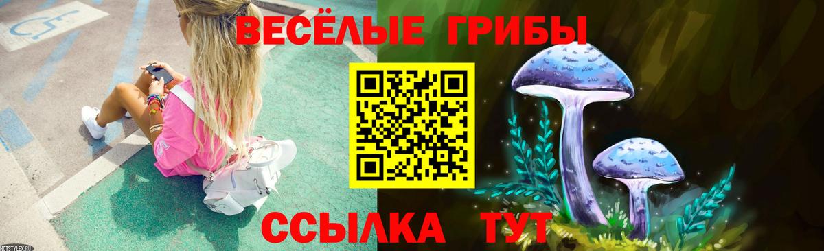 Псилоцибиновые грибы Cubensis Коряжма